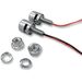 Stainless Steel LED License Plate Mounting Bolts