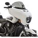 12 in. Tint Flare Windshield 75pix