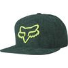 Emerald Instill Snapback Hat