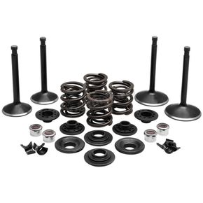 Engine Valves, Springs, Seals, and Keepers Kit