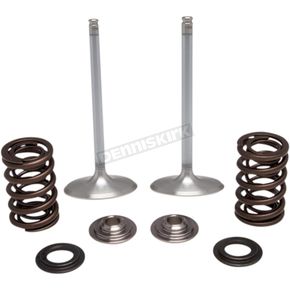 Stainless Steel Intake Only Valve and Spring Conversion Kit (0.415
