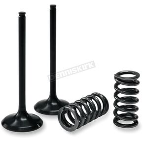 Exhaust Valve and Spring Kit