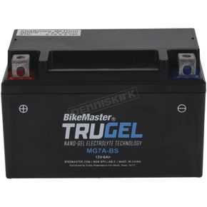 TruGel 12-Volt Battery