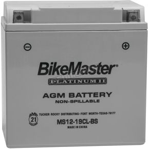 Platinum AGM Battery