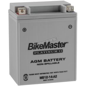 Platinum AGM Battery