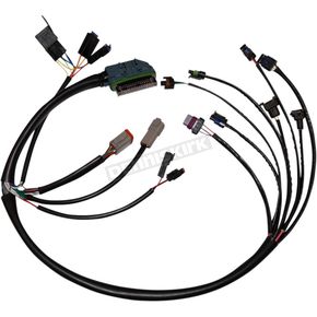 Ignition Wiring Harness