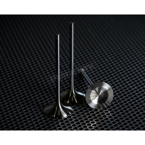 High Performance Stainless Exhaust Valves