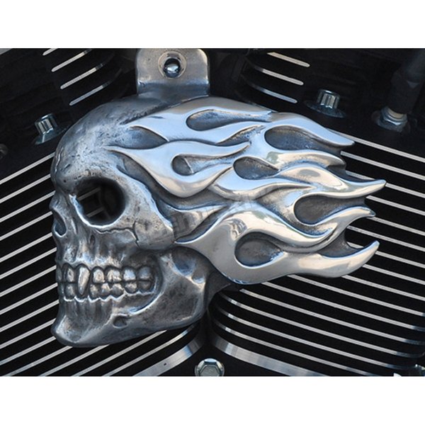 Aged Aluminum Flaming Skull Horn Cover
