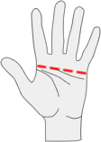 hand measurement